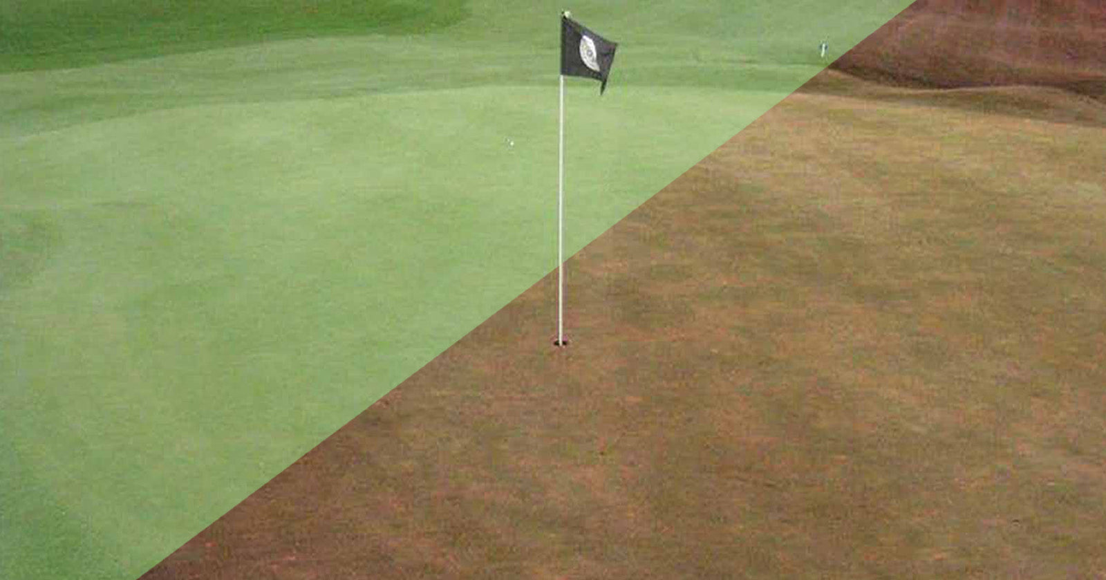 Best Lens Color for Golf Sunglasses: Purple vs. Violet | NYDEF® Golf Learning Center
