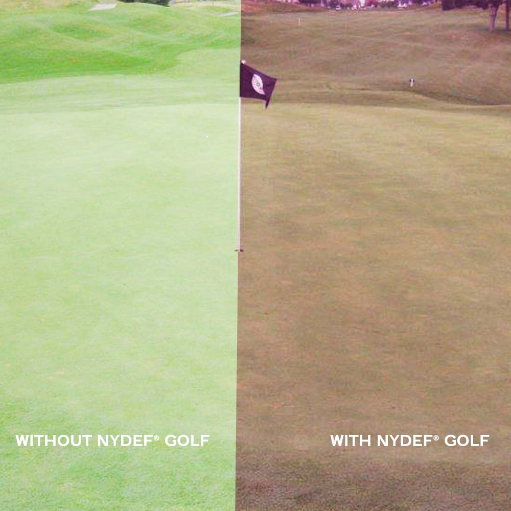 NYDEF Golf Sunglasses- Before and After