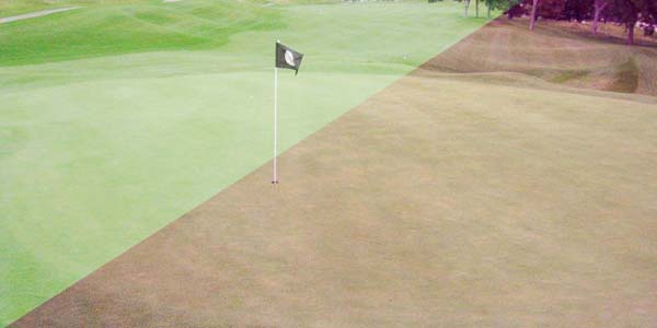 Golf Sunglasses - Choosing the Correct Lens Color