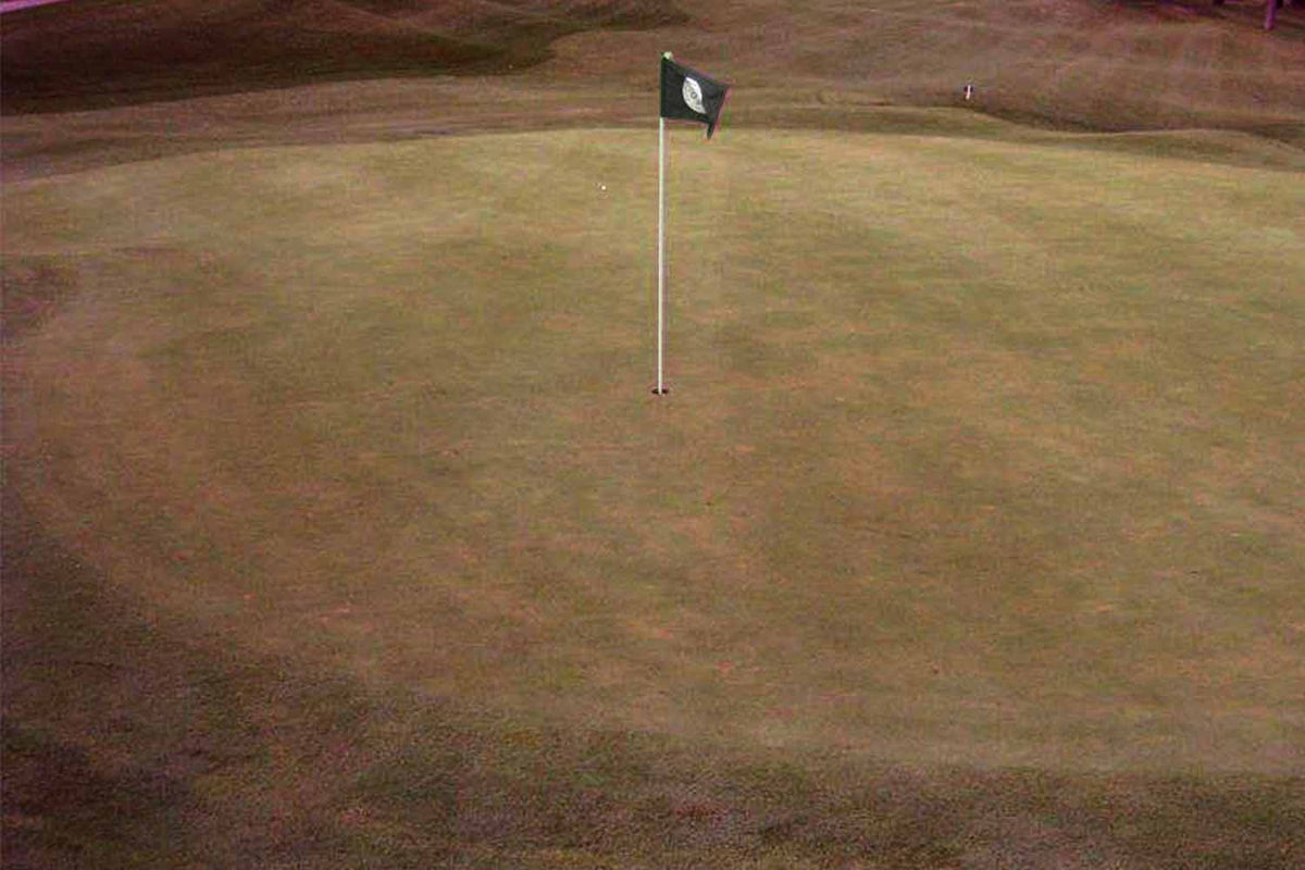 View of the green with Popticals