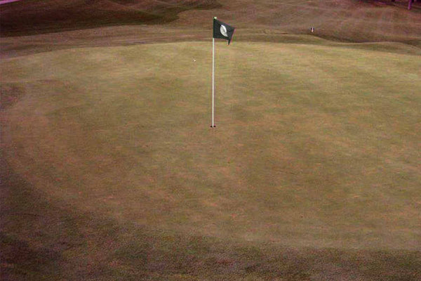 Putting green viewed through NYDEF Golf lenses