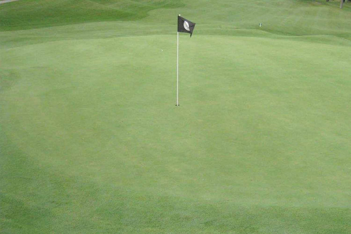 View of the green without Popticals