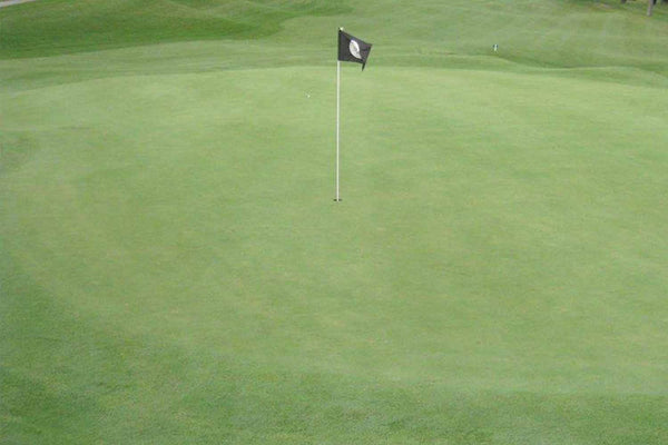 Putting green viewed with the naked eye