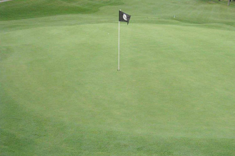 Putting green viewed with the naked eye
